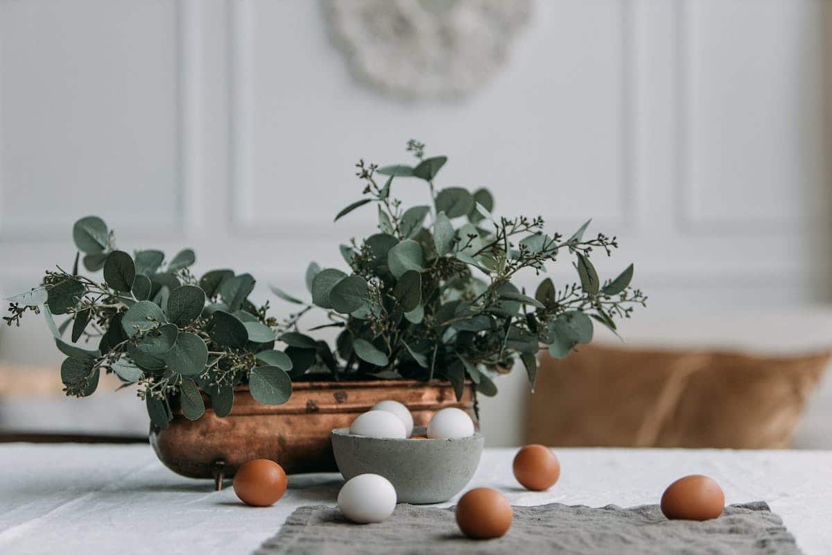 décoration éco-responsable