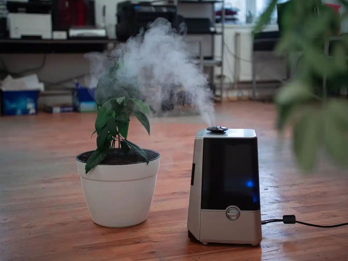 air purifié