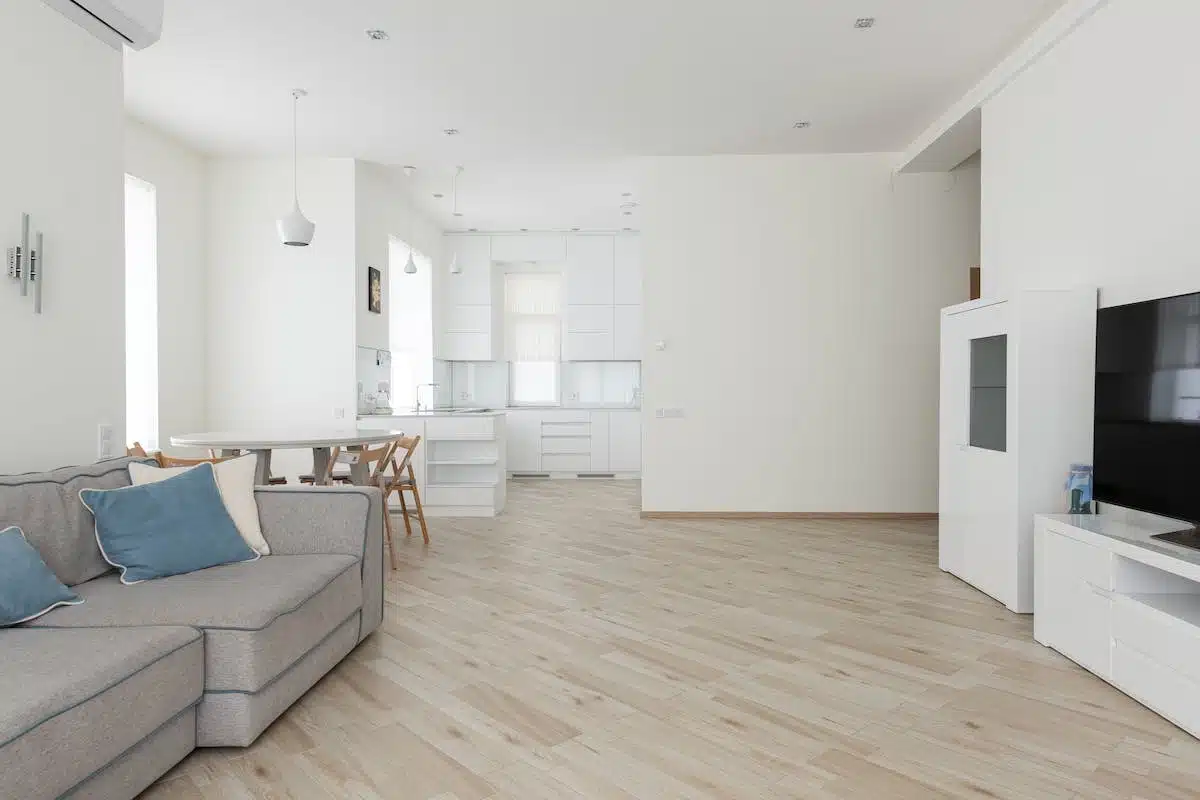 maison  appartement