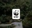 logo WWF