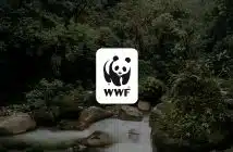 logo WWF