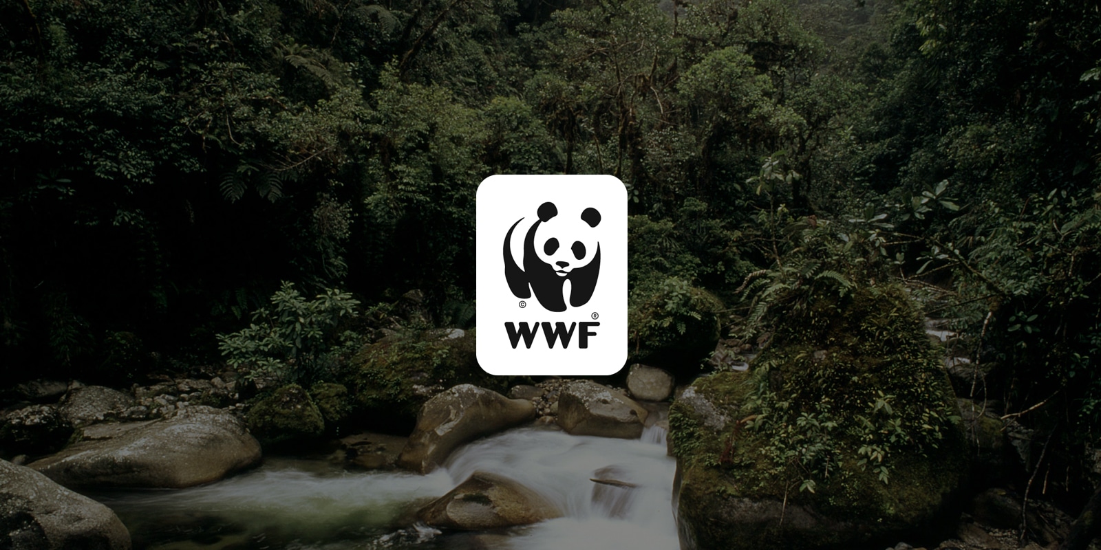 logo WWF