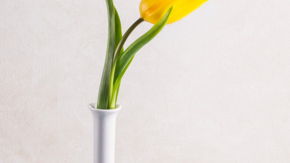 Soliflores funéraires : un choix élégant pour les columbariums